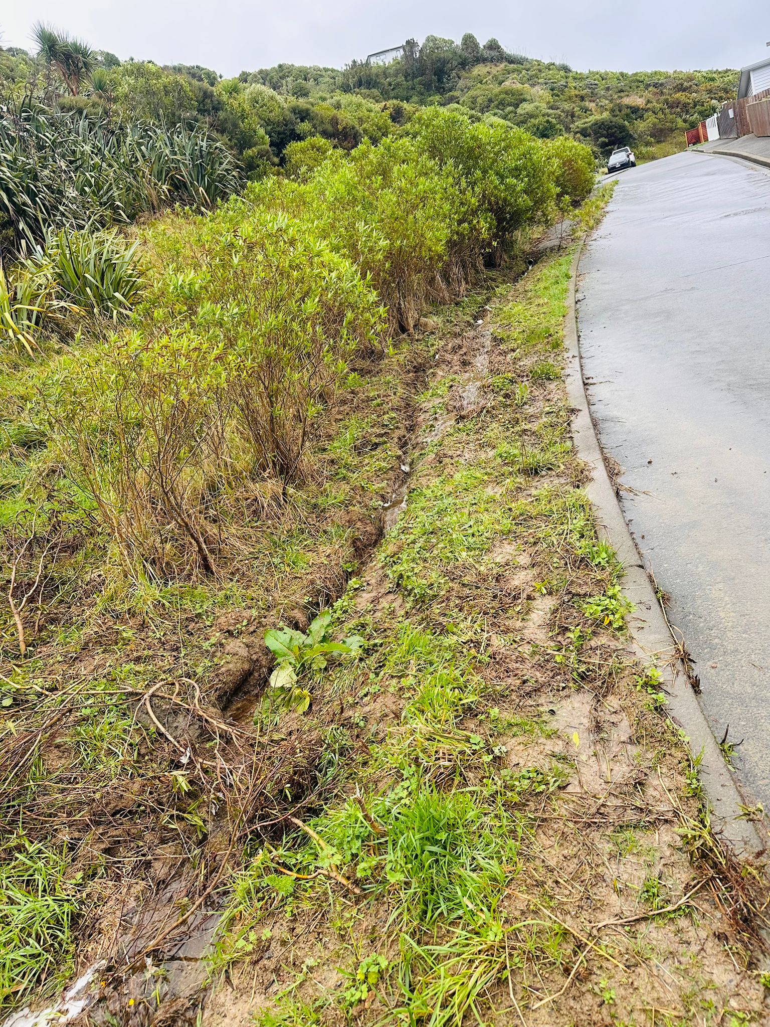 Erosion scour channel along the verge