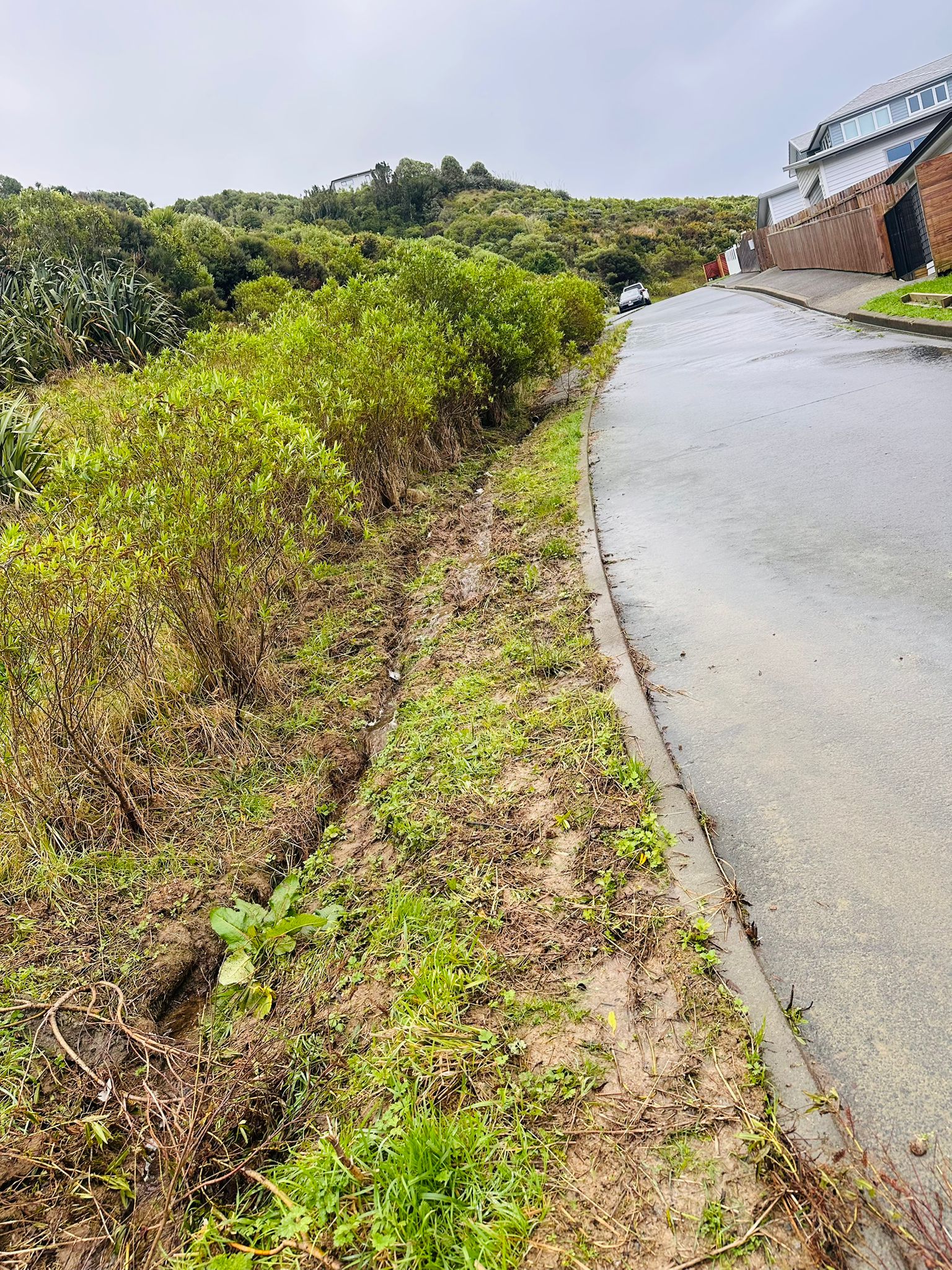 Erosion channel wide view with uphill houses